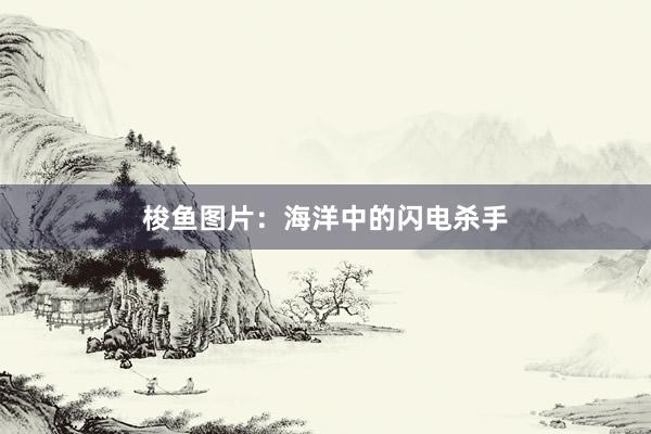 梭鱼图片：海洋中的闪电杀手