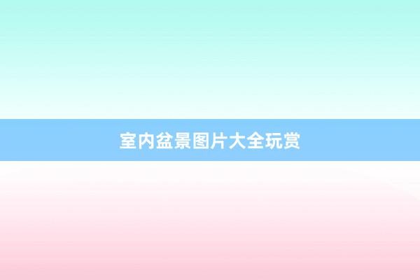 室内盆景图片大全玩赏